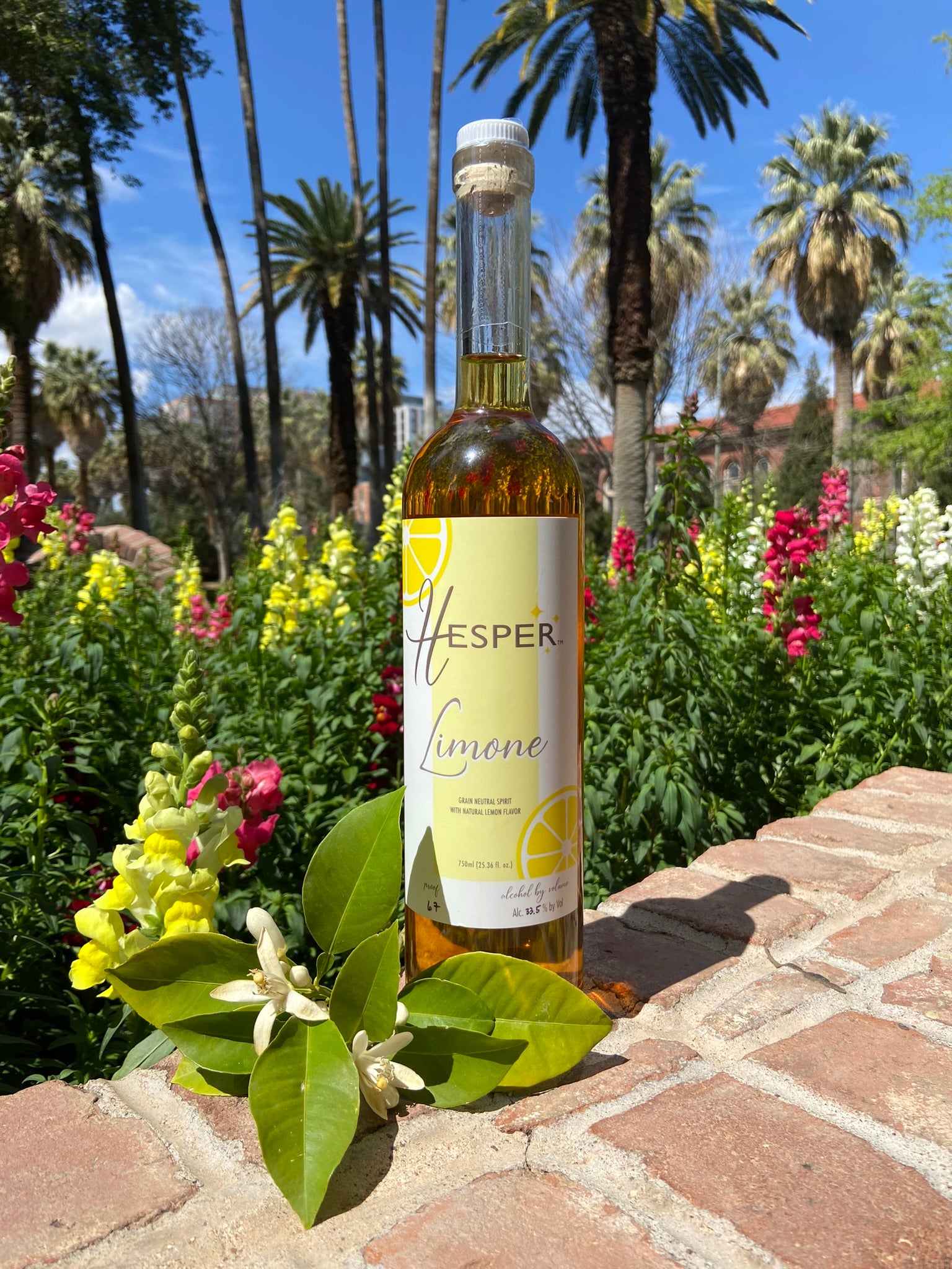 Limone Spirit - Just The Zest – hello-hesper